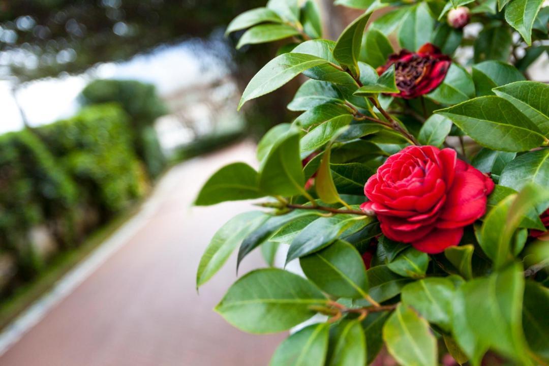 Na' Poesia B&B Di Charme SantʼAgata deʼ Goti 외부 사진
